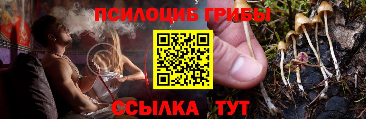 Киржач  Галлюциногенные грибы GOLDEN TEACHER  Псилоцибиновые грибы мухоморы  Вход с VPN 